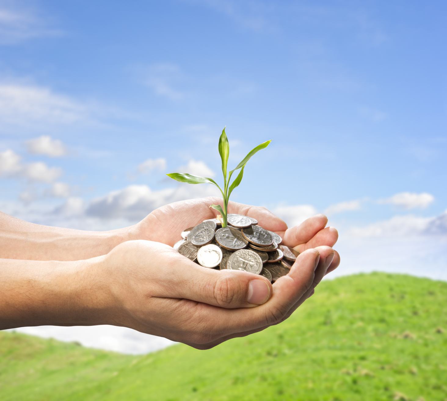 A
							plant sprouting from a handful of coins.