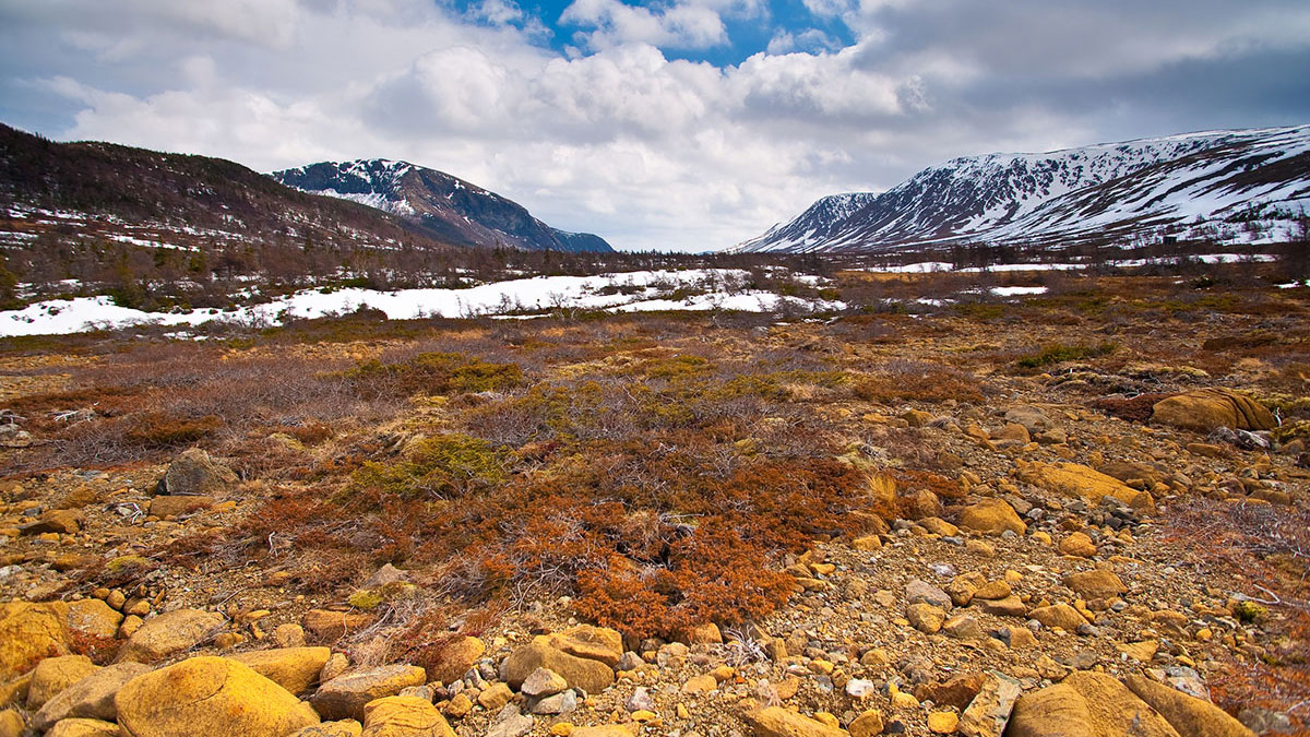 Rocks, soil and sparse vegetation sounded by mountains covered with snow in the diistance