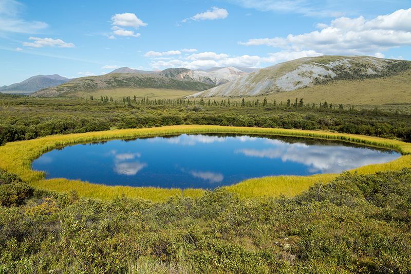 Yukon Reflection Pool