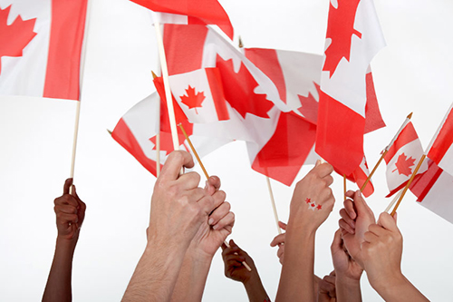 Many hands holding up small Canadian flags