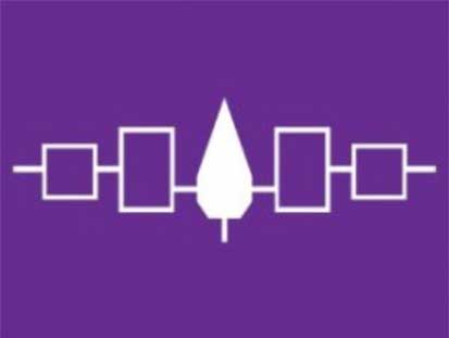 image representing the Haudenosaunee confederacy