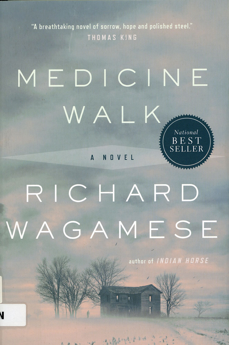Book cover of Medicine Walk
