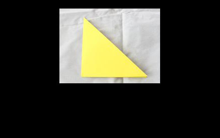 Step 9: Fold the triangle in half.  Do this by folding the <br>left corner over the right.