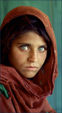 Sharbat Gula