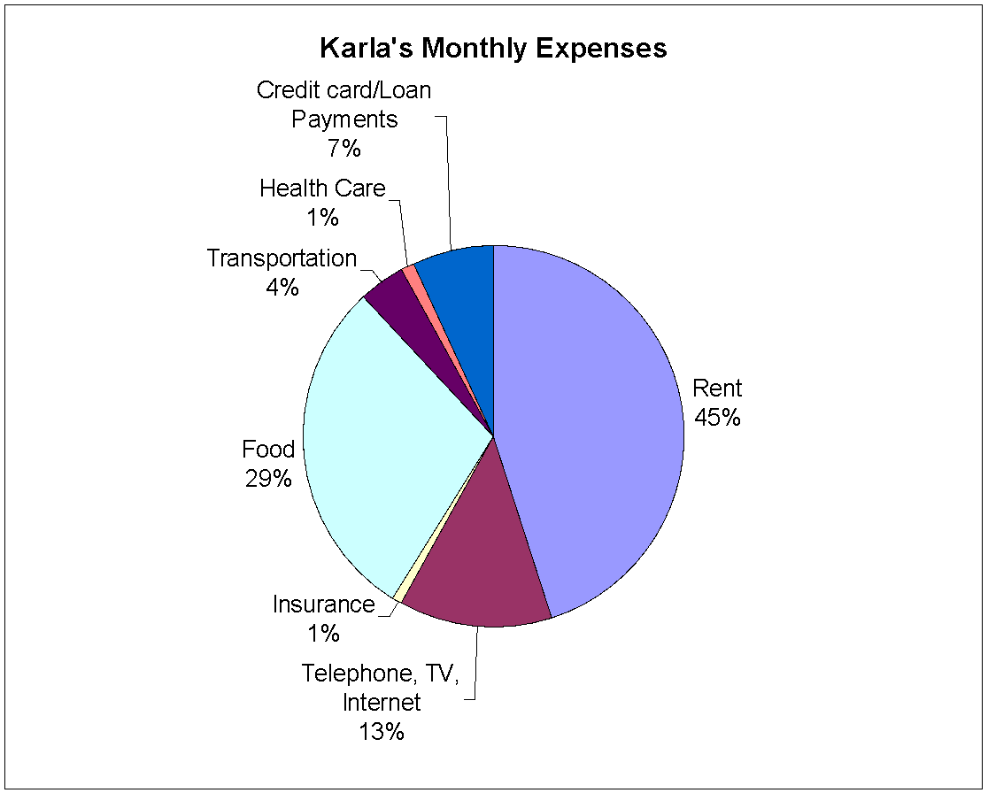 A circle (pie) graph with the values of 45% for rent, 13% for telephone, TV, internet, 1% for insurance, 29% for food, 4% for transportation, 1% for health care and 7% for credit cards/loan payments.