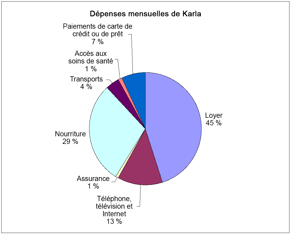 Un graphique à secteurs (circulaire) avec les valeurs de 45 % pour le logement, 13 % pour le téléphone, la télévision et l’Internet, 1 % pour les assurances, 29 % pour la nourriture, 4 % pour les transports, 1 % pour les soins de santé et 7 % pour le paiement des cartes de crédit et des prêts.