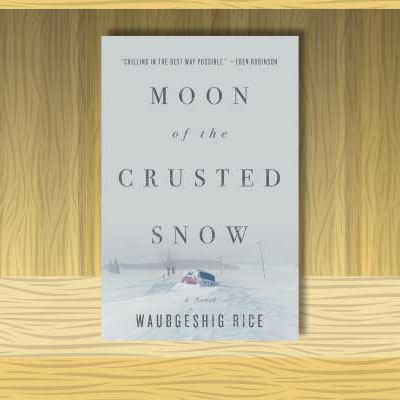 Moon of the Crusted Snow Book Cover