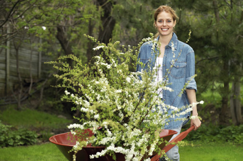 Woman pushing wheelbarrow with shrubs in it