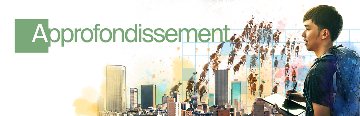 Approfondissement