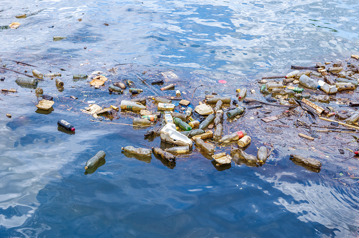 Bouteilles de plastique polluant un littoral marin.