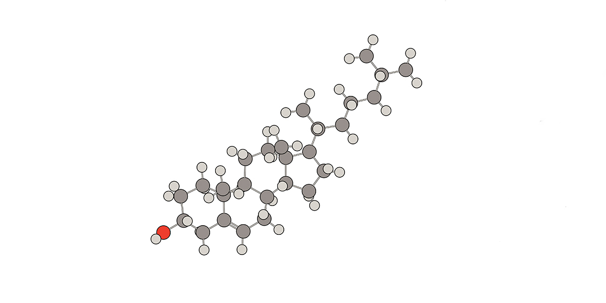 Structure lipidique tridimensionnelle