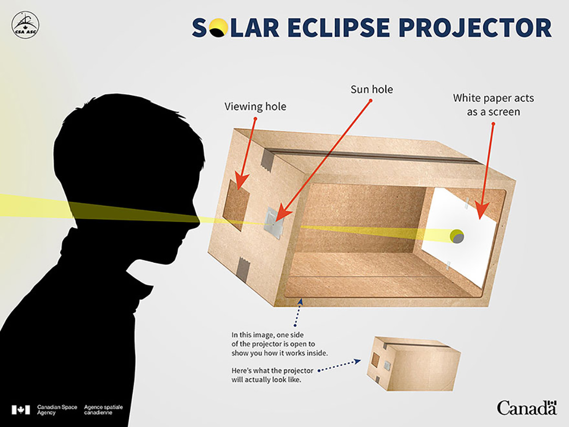 Solar eclipse projector