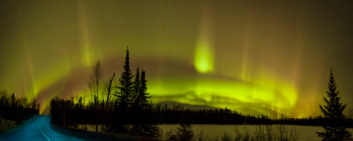 Green, yellow, and orange lights in the sky. Forest in the foreground.