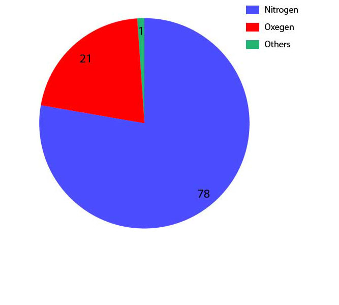 A pie chart representing the percentage of different gases that compose the atmosphere.