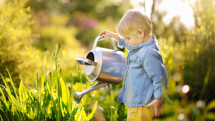 Cute toddler boy watering plants in the garden at summer sunny day
