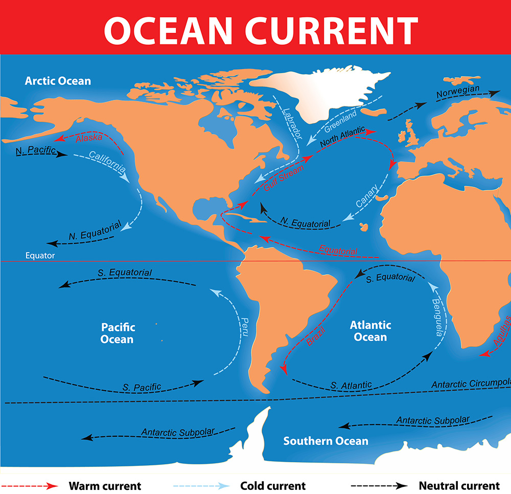 A diagram of the worlds wind patterns and the warm and cold surface currents in the ocean