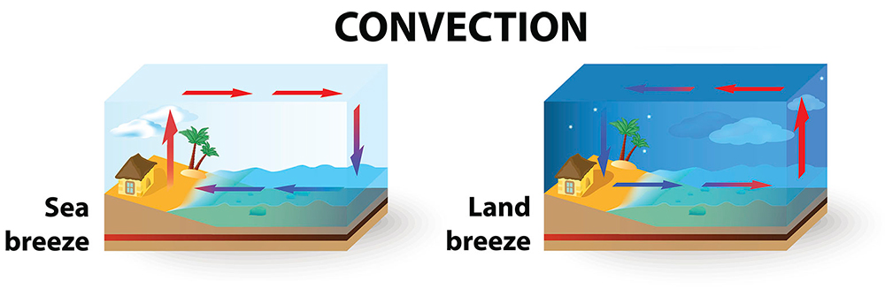 In day, cool water and warm air makes wind blow out to sea. At night, the direction reverses.