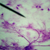 Neurone grossi 40 fois