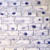 Cellule d’oignon grossie 100 fois