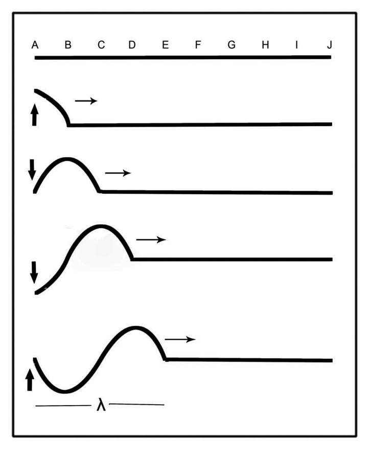 Illustration of a wave formation showing five stages of wave growth