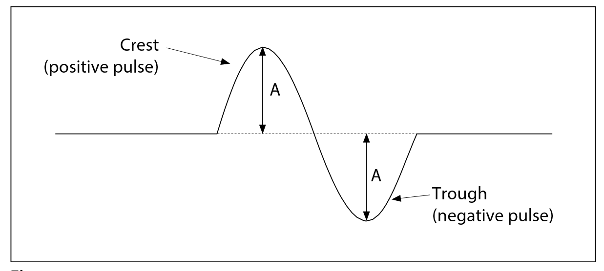 Diagram showing the crest and the trough of a transverse wave.