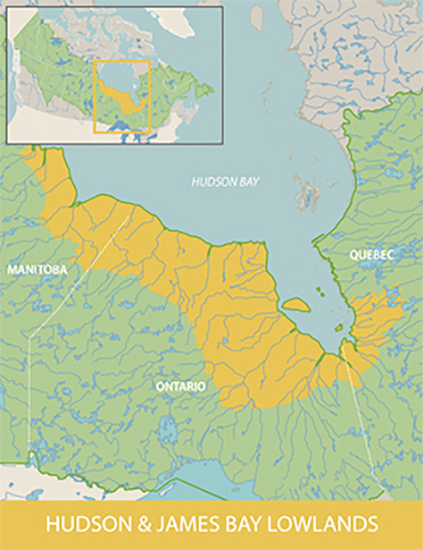 A waterways map showing the Hudson James Bay Lowlands