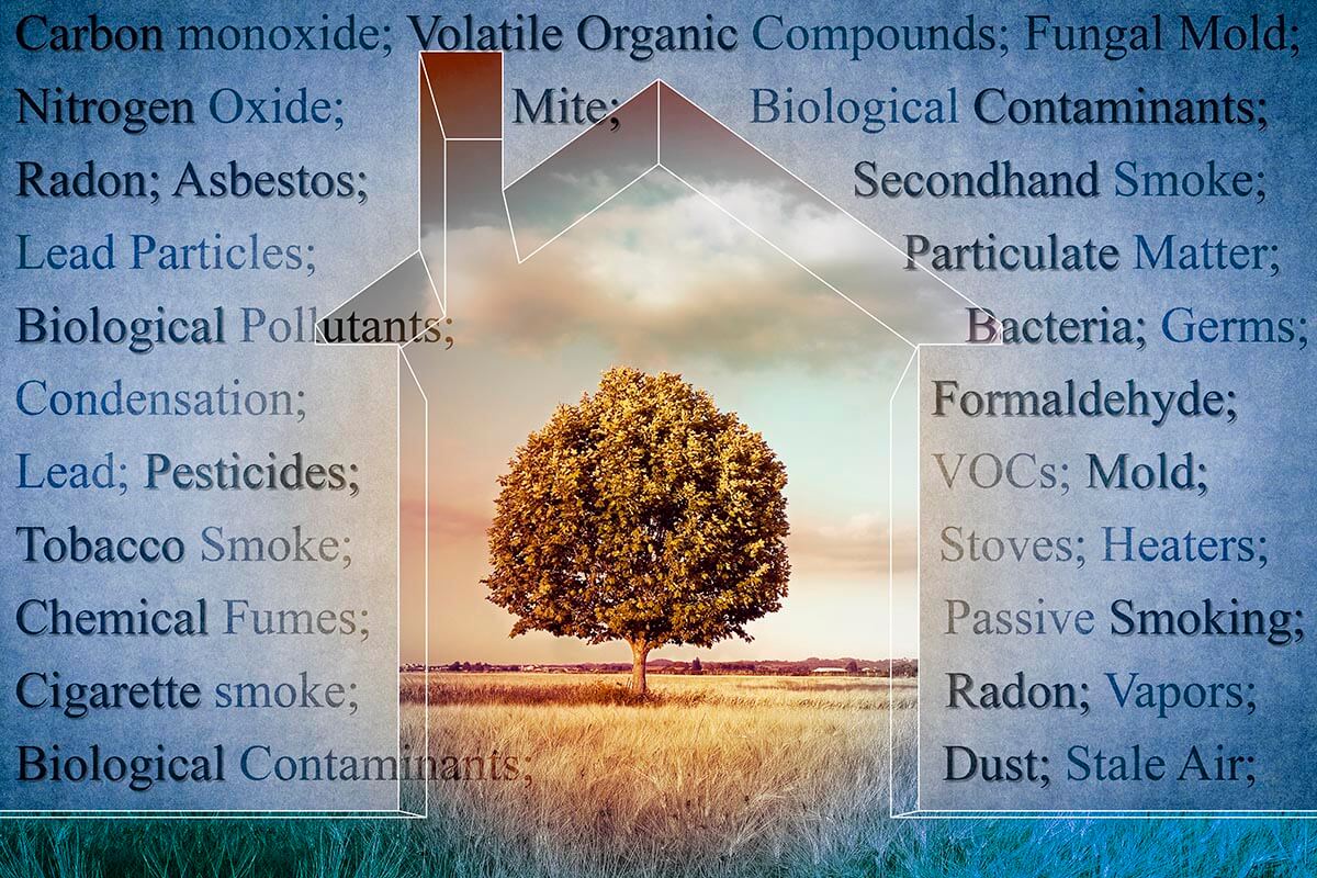 A cartoon house with a healthy tree within. The house is surrounded by various air pollutants.