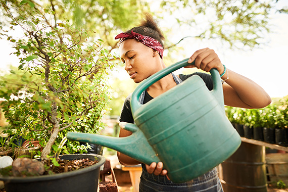 A florist preparing flowers for planting.